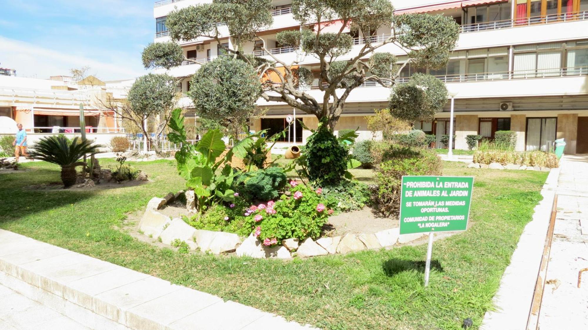 Nogalera Sun&fun Select Apartament *